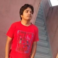 Satish Meena